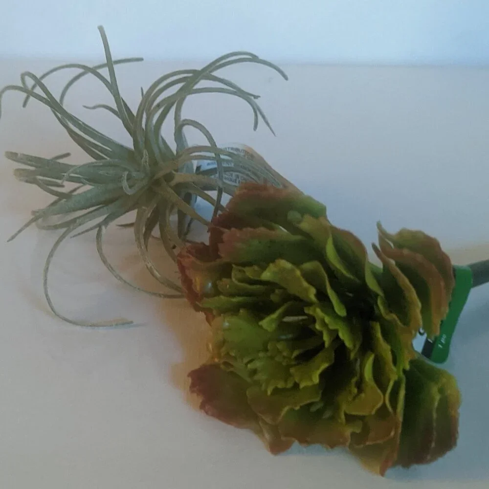 NWT Ashland 2 Spiky Tropical Cabbage Succulent Stems Faux Floral Decor Michael's